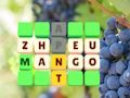 Juego Diapositiva de palabras  en línea
