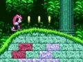 Juego Poderoso y Ray en Sonic 2  en línea
