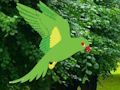 Juego Loro encuentra el nido  en línea