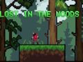 Juego Perdido en el bosque  en línea