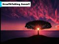 Juego Impresionante puesta de sol  en línea