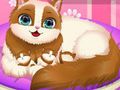 Juego Lindo gatito embarazada en línea Juego Lindo gatito embarazada en línea