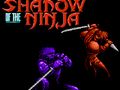 Juego La sombra del ninja  en línea