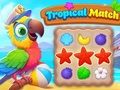 Juego Partido tropical  en línea