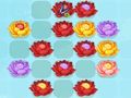 Juego Combinación de flores 3  en línea