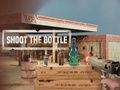 Juego Dispara a la botella  en línea