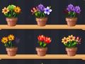 Juego Buen maestro de las flores  en línea