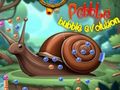 Juego Evolución de la burbuja de guijarros  en línea