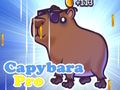 Juego Carpincho Pro  en línea