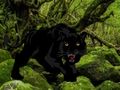 Juego Escape del Bosque de las Panteras Negras  en línea