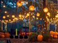 Juego Escape encantador del jardín de Halloween  en línea