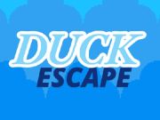 Juego Escape del pato  en línea