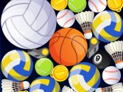 Juego Fusión deportiva  en línea
