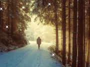 Juego Estrellas ocultas de invierno  en línea