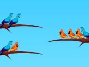 Juego Clasificación de aves  en línea