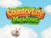 Juego Prados de la vida en el campo  en línea