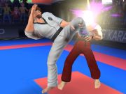 Juego Luchador de kárate  en línea