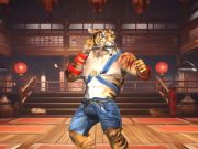 Juego Lucha de Karate culturista  en línea
