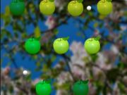 Juego Manzana jugosa  en línea