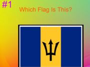 Juego Prueba de bandera dura de los 30  en línea