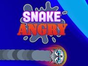 Juego Serpiente enojada  en línea