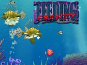 Juego Frenesí de alimentación en línea