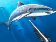 Juego Caza de pesca de lanza bajo el agua en línea