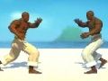 Juego Caza de capoeira  en línea