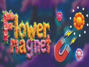 Juego Imán de flores en línea