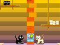 Juego Kocani gatos en línea