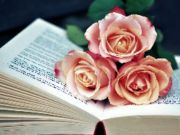 Juego Libro de Blooms Jigsaw en línea
