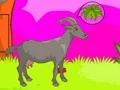 Juego Wolf Escape en línea