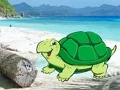 Juego Beach Crab Pair Escape en línea