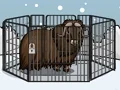 Juego Rescue The Musk Ox en línea