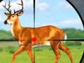 Juego Wild Hunt Hunting Games 3D en línea