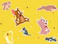 Juego The Tom and Jerry Show Find it! en línea