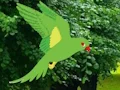 Juego Parrot Find The Nest en línea