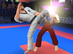 Juego Karate Fighter en línea