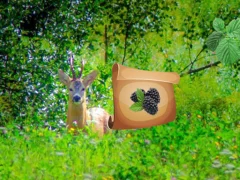 Juego Return To Alsunga Forest en línea