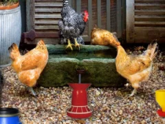 Juego Poultry Farm Easter Escape en línea