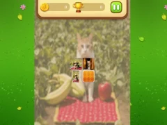 Juego Farm Cat Memory Match en línea