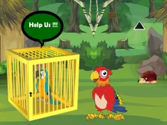 Juego Release Trapped Macaw Buddy en línea