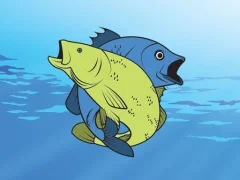 Juego Friendly Fish Coloring en línea