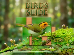 Juego Birds Slide en línea