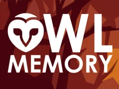 Juego Owl Memory en línea