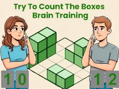 Juego Try To Count The Boxes Brain Training en línea