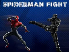 Juego Spiderman Fight en línea