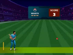 Juego Cricket Night 2 en línea