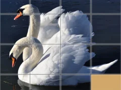 Juego Animals Slide Puzzle en línea