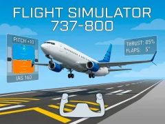Juego Flight Simulator 737-800 en línea